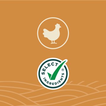 Higher Harvest by H-E-B 39g Protein Lifestyle Meal - Chicken Tikka Masala
