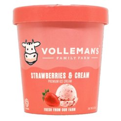 Van Leeuwen Strawberry Matcha Latte French Ice Cream, 14 oz