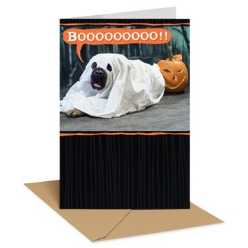 American Greetings Halloween Card (Scare the Sheet)