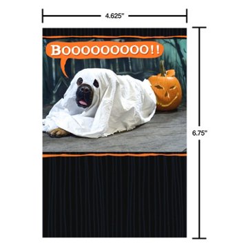 American Greetings Halloween Card (Scare the Sheet)