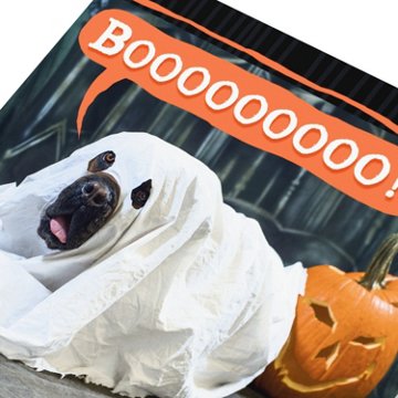 American Greetings Halloween Card (Scare the Sheet)