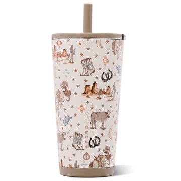 HydroJug Stainless Steel Traveler Everyday Tumbler - Mesa, 20 oz