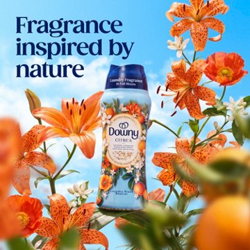 Downy Boutique Botanicals In Wash Laundry Scent Booster Beads - Citrea Scent