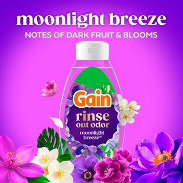 Gain Rinse Laundry Odor Remover, HE Compatible - Moonlight Breeze Scent