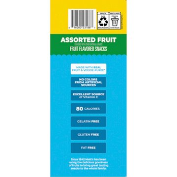 Mott's Assorted Fruit Flavored Snacks - Mega Pack