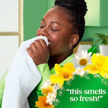 Gain Rinse Laundry Odor Remover, HE Compatible - Original Scent
