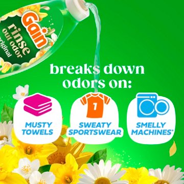 Gain Rinse Laundry Odor Remover, HE Compatible - Original Scent