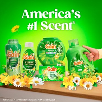 Gain Rinse Laundry Odor Remover, HE Compatible - Original Scent