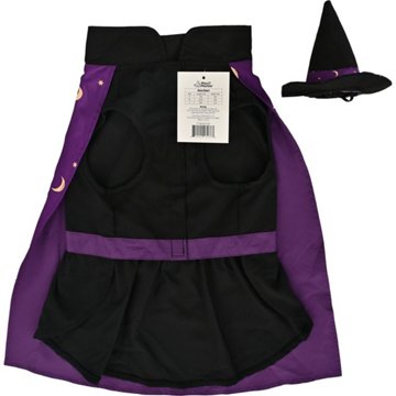 Max & Marlow Witch Halloween Pet Costume, Medium