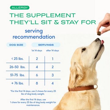 Native Pet Allergy Chews for Dogs, 45 ct
