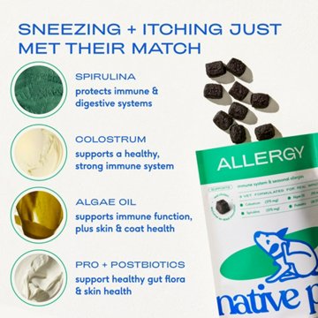 Native Pet Allergy Chews for Dogs, 45 ct