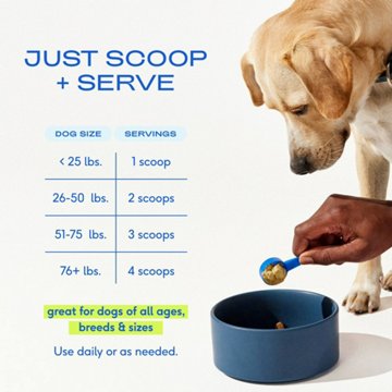 Native Pet The Daily Supplement Powder for Dogs, 9.25 oz