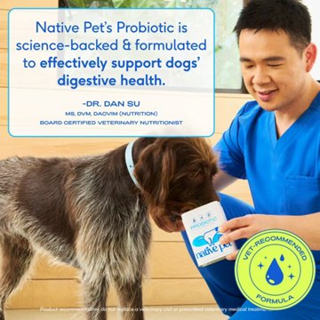 Native Pet Probiotic Supplement Powder for Dogs, 6 oz