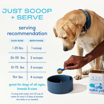 Native Pet Probiotic Supplement Powder for Dogs, 6 oz