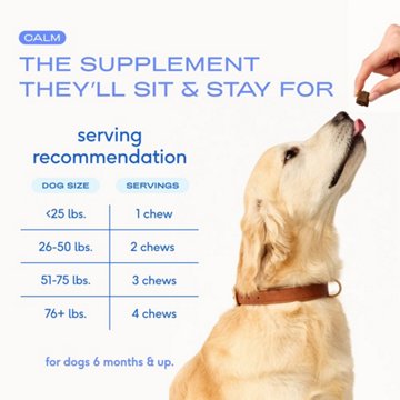 Native Pet Calm Chews for Dogs, 45 ct