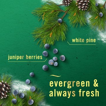 Febreze Air Mist White Pine & Juniper Berry