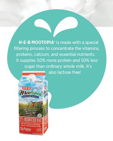 H-E-B Mootopia