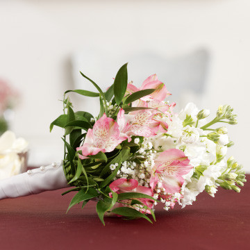 Alstroemeria Flower Girl