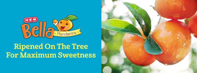 4 Facts About the Honey Mandarin – Fresh from the Sunbelt