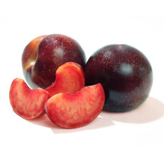 Jubilee Plumcot