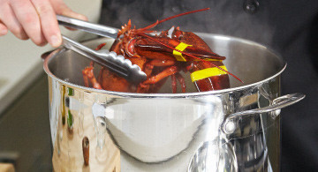 how to pick and boil lobster