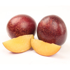 Marvel Plumcot