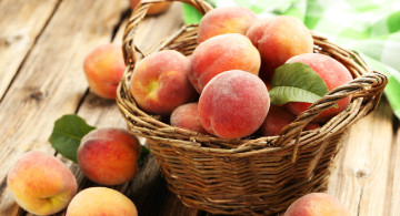 Types of Peaches, Guide to Peaches