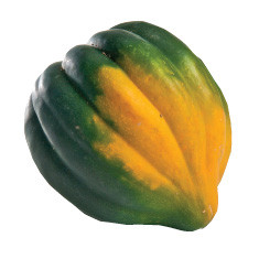 Acorn Squash