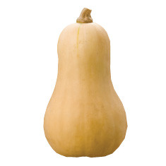 Butternut Squash