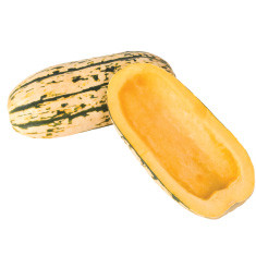 Delicata Squash