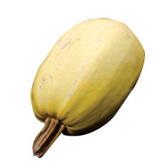 Spaghetti Squash