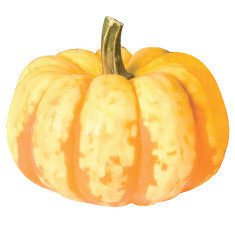 Sweet Dumpling Squash