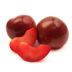 Ruby Delight Plumcot