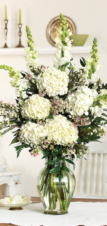 Hydrangea Large Arrangement