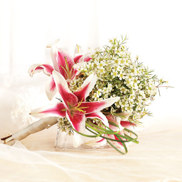 Stargazers Package Weddings by Design - HEB