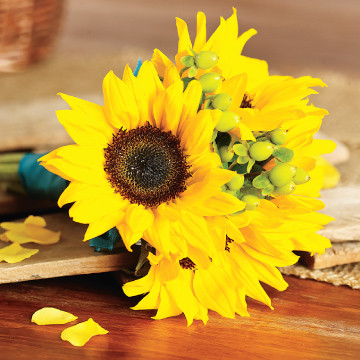 Sunflower Flower Girl