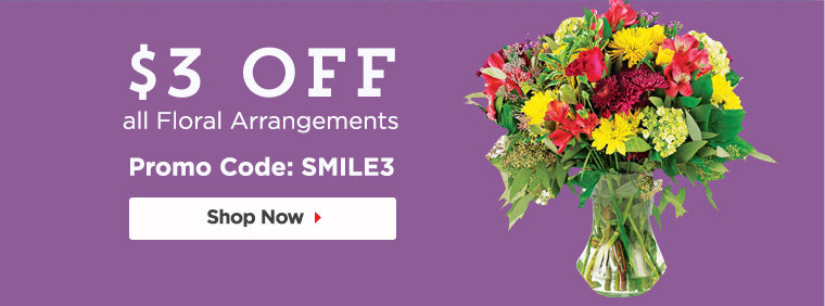 Ftd Coupon Coupons Groupon Pink Perfection Middot Florist In Glendale Flower Delivery Our Most Por Arrangement Pop Of Lavender By Bloomnation