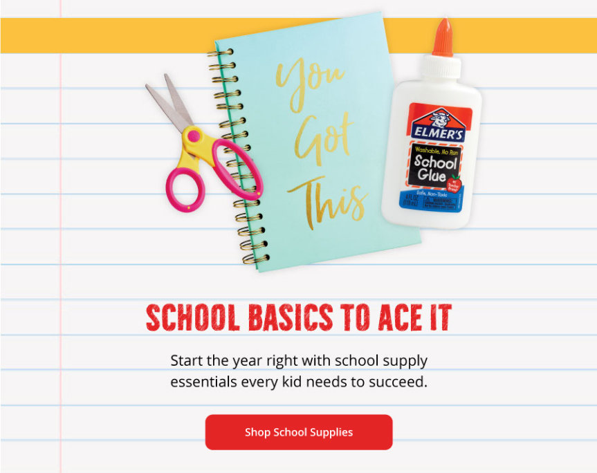 School Basics To Ace It