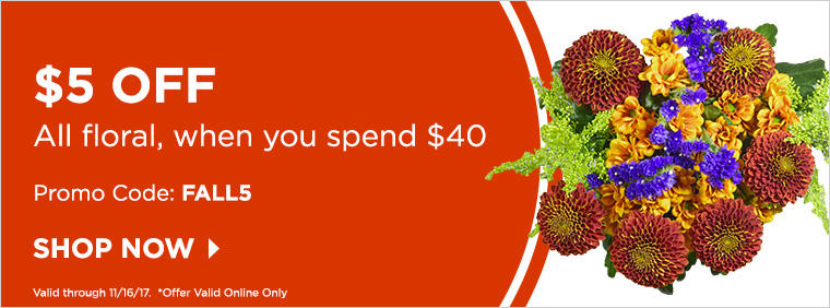 Watch Days Of Wine And Roses Online (2017)