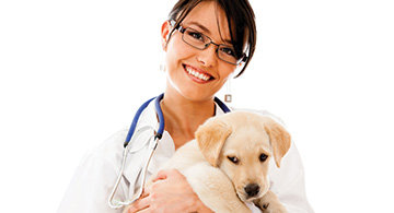 vanguard pet visits vaccinations preventative veterinary associates affordable bring care near health events