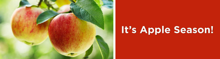 Guide to Apples - How to Store, Cook, &amp; More!