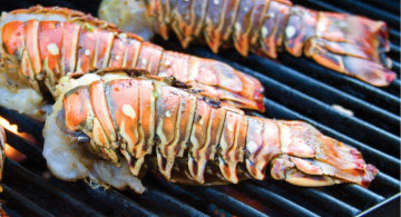 how to grill lobster