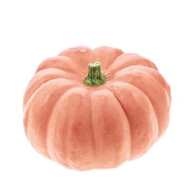 Types of Pumpkins - HEB Pumpkin Guide