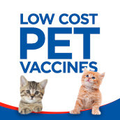 low cost pet medications