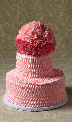 Elegant Bride Wedding Cake Designs Heb
