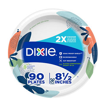 Dixie 8 1/2 in Disposable Paper Plates, 90 ct
