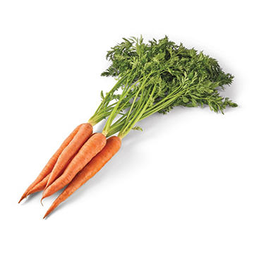 Fresh Organic Carrots, Bunch