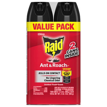Raid Ant & Roach Killer 26 - Outdoor Fresh, 2 Pk, 17.5 oz