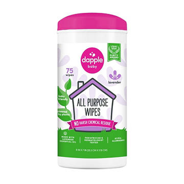 Dapple Baby Fragrance Free All Purpose Cleaning Wipes, 75 ct