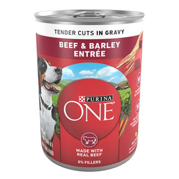 Purina ONE Tender Cuts Wet Dog Food - Gravy Beef and Barley Entree, 13 oz